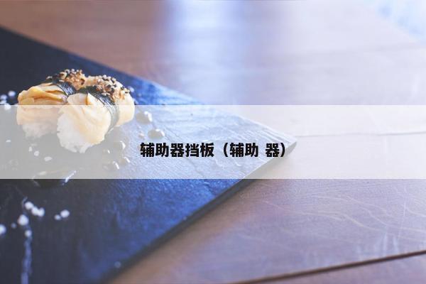 辅助器挡板（辅助 器）