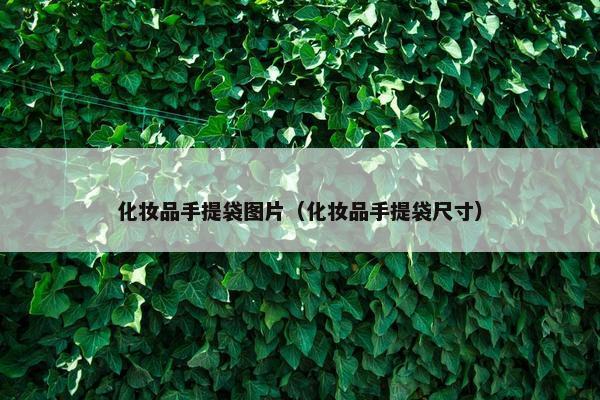化妆品手提袋图片（化妆品手提袋尺寸）