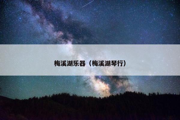 梅溪湖乐器(梅溪湖琴行) 梅溪湖乐器(梅溪湖琴行)