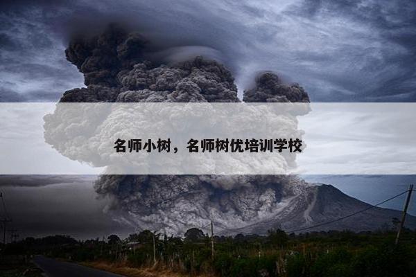 名师小树,名师树优培训学校 名师小树,名师树优培训学校