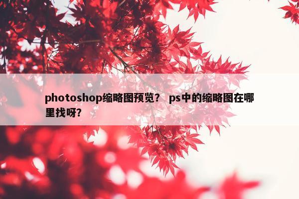 photoshop缩略图预览？ ps中的缩略图在哪里找呀？