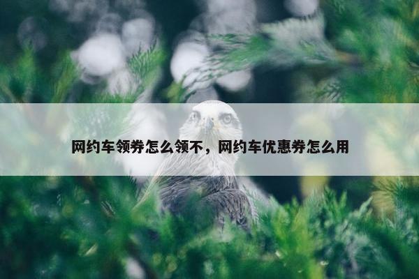 网约车领券怎么领不，网约车优惠券怎么用