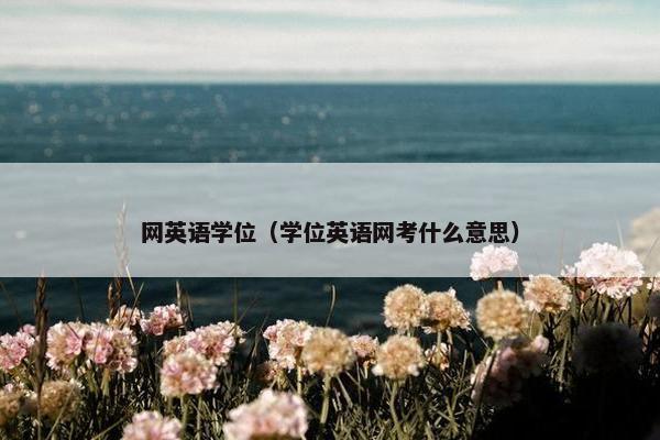 网英语学位（学位英语网考什么意思）