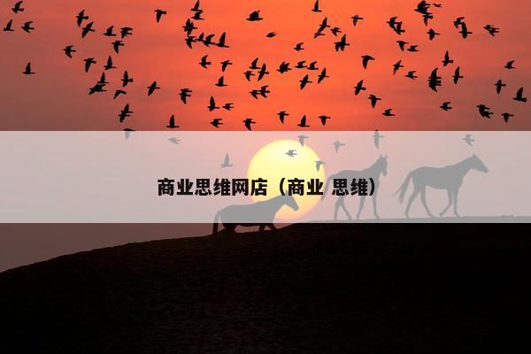 商业思维网店(商业 思维) 商业思维网店(商业 思维)