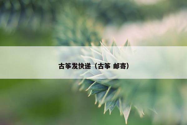 古筝发快递(古筝 邮寄) 古筝发快递(古筝 邮寄)