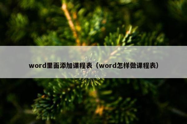 word里面添加课程表（word怎样做课程表）