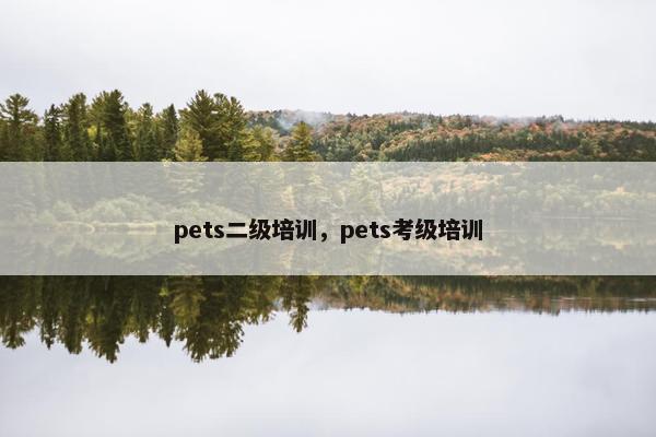 pets二级培训，pets考级培训