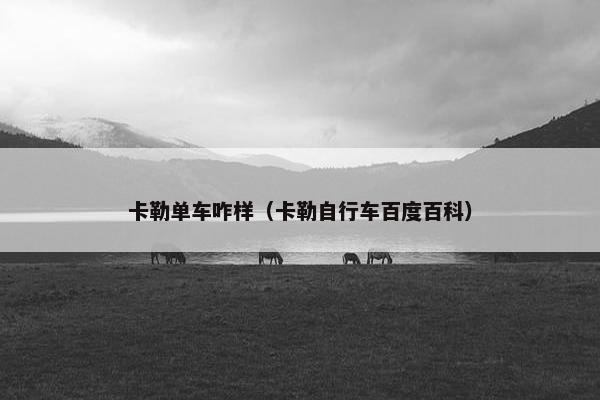卡勒单车咋样（卡勒自行车百度百科）