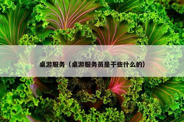 桌游服务(桌游服务员是干些什么的) 桌游服务(桌游服务员是干些什么的)