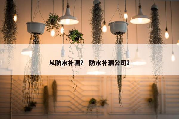 从防水补漏？ 防水补漏公司？