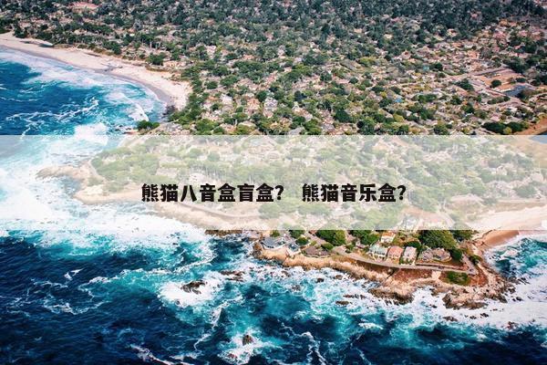 熊猫八音盒盲盒？ 熊猫音乐盒？