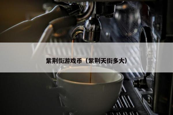 紫荆街游戏币（紫荆天街多大）