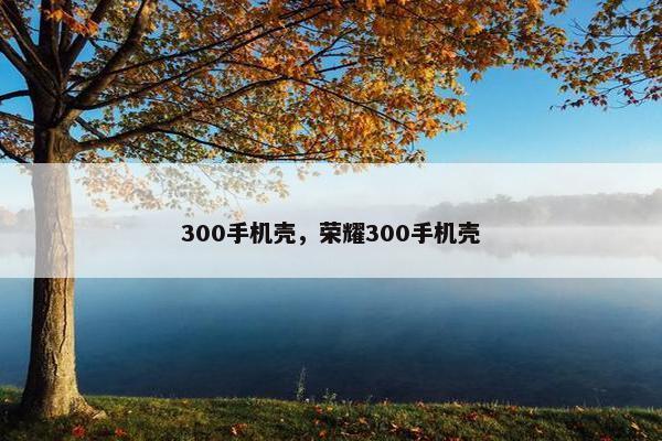 300手机壳，荣耀300手机壳