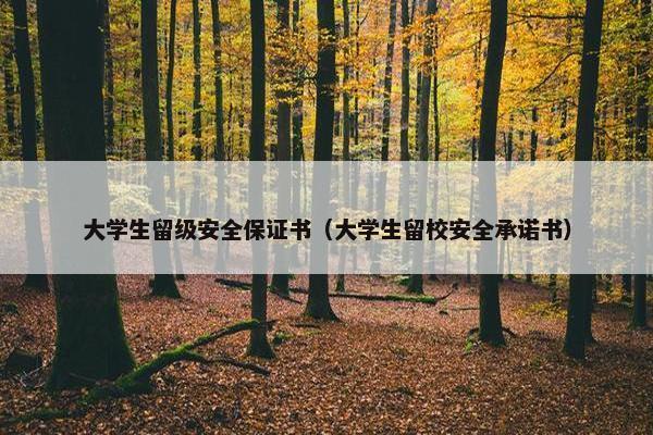 大学生留级安全保证书（大学生留校安全承诺书）