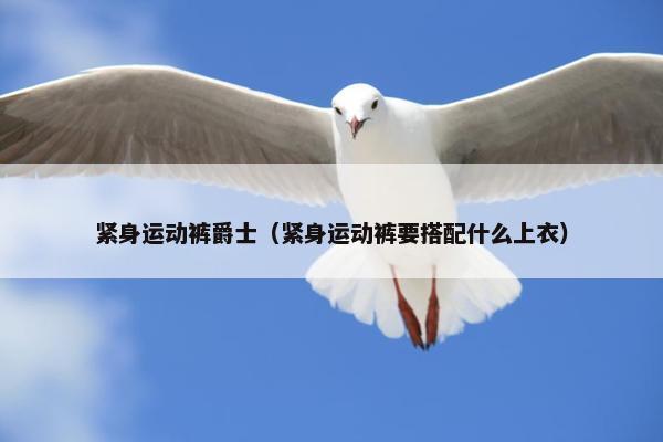 紧身运动裤爵士（紧身运动裤要搭配什么上衣）