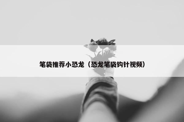笔袋推荐小恐龙（恐龙笔袋钩针视频）