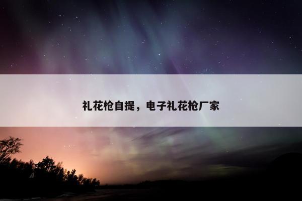 礼花枪自提，电子礼花枪厂家