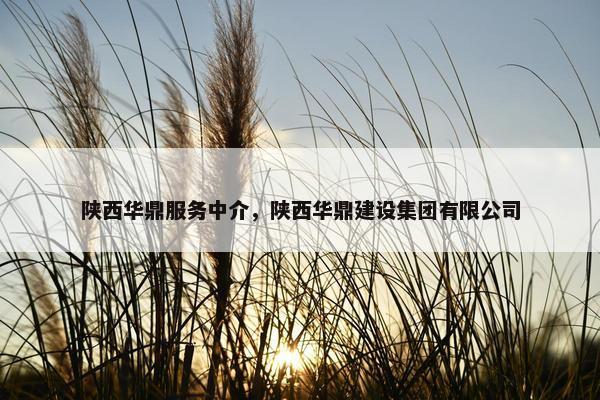 陕西华鼎服务中介，陕西华鼎建设集团有限公司
