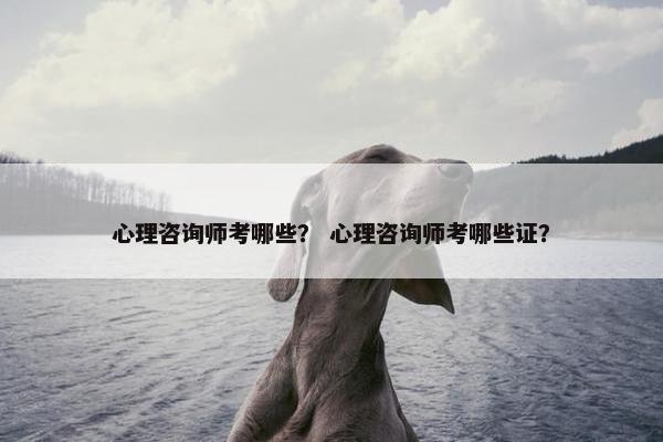 心理咨询师考哪些? 心理咨询师考哪些证? 心理咨询师考哪些? 心理咨询师考哪些证?