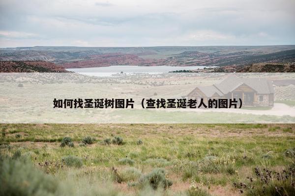 如何找圣诞树图片（查找圣诞老人的图片）