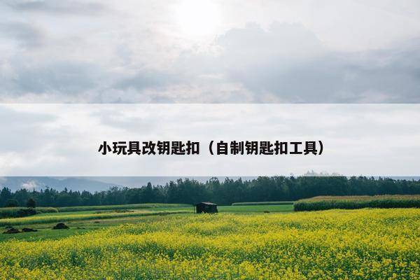 小玩具改钥匙扣（自制钥匙扣工具）