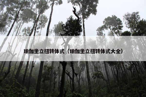 瑜伽坐立扭转体式（瑜伽坐立扭转体式大全）