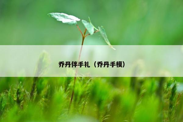 乔丹伴手礼（乔丹手模）