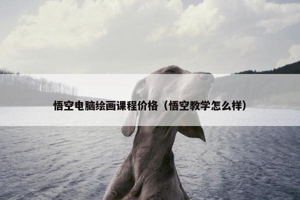 悟空电脑绘画课程价格（悟空教学怎么样）