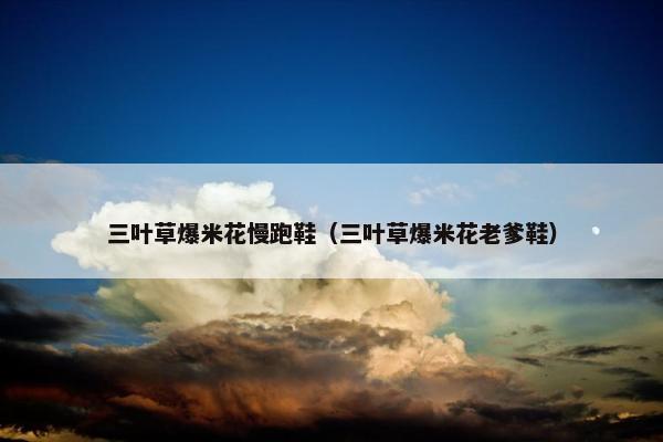 三叶草爆米花慢跑鞋（三叶草爆米花老爹鞋）