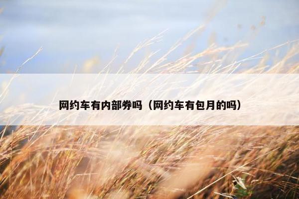 网约车有内部券吗（网约车有包月的吗）