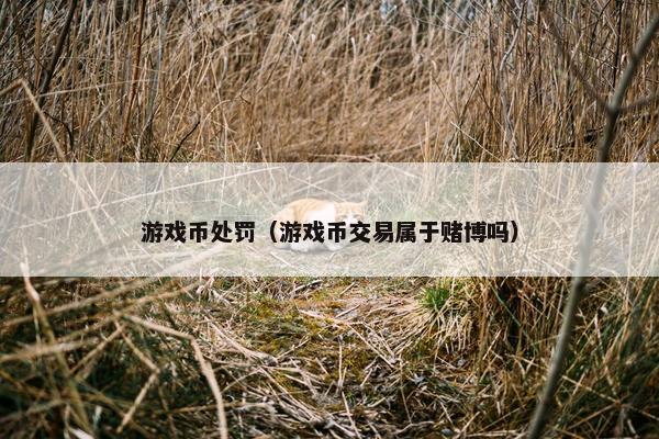 游戏币处罚(游戏币交易属于赌博吗) 游戏币处罚(游戏币交易属于赌博吗)