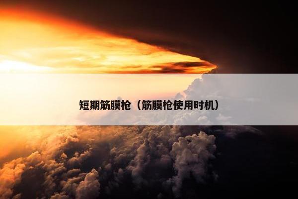 短期筋膜枪(筋膜枪使用时机) 短期筋膜枪(筋膜枪使用时机)