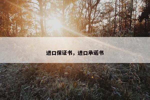 进口保证书,进口承诺书 进口保证书,进口承诺书