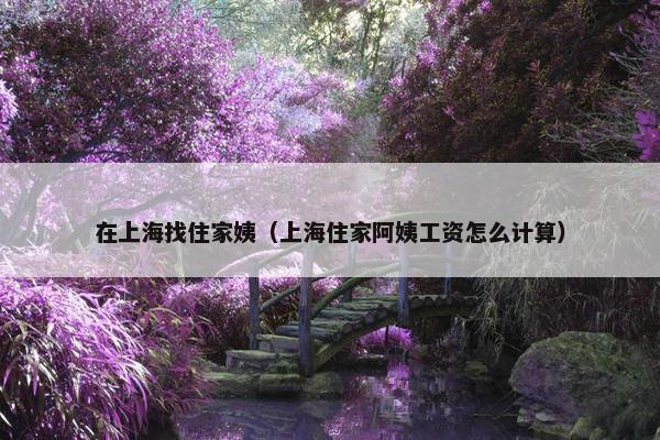 在上海找住家姨（上海住家阿姨工资怎么计算）