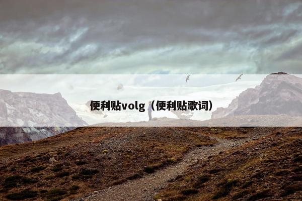 便利贴volg（便利贴歌词）
