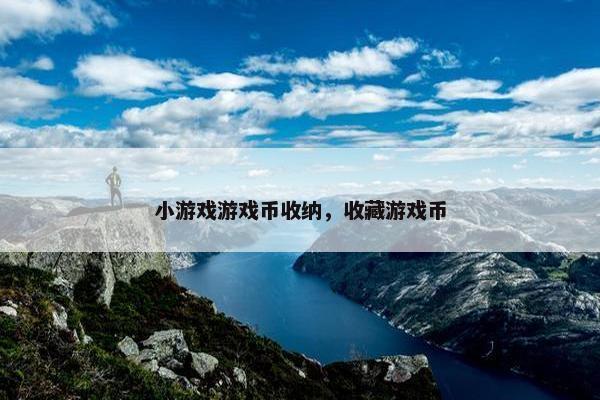 小游戏游戏币收纳，收藏游戏币