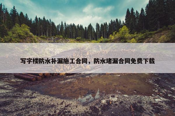写字楼防水补漏施工合同，防水堵漏合同免费下载