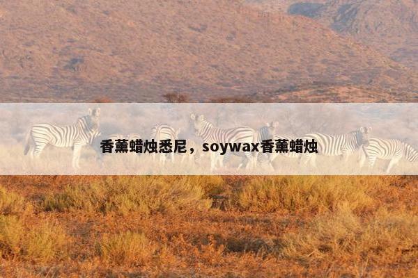 香薰蜡烛悉尼，soywax香薰蜡烛