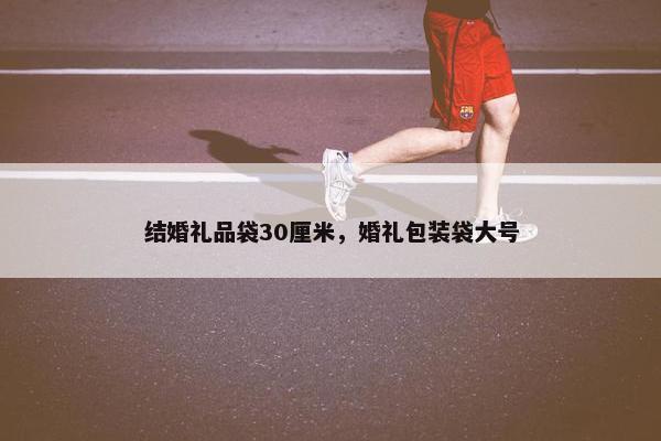 结婚礼品袋30厘米，婚礼包装袋大号