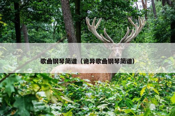歌曲钢琴简谱（诡异歌曲钢琴简谱）