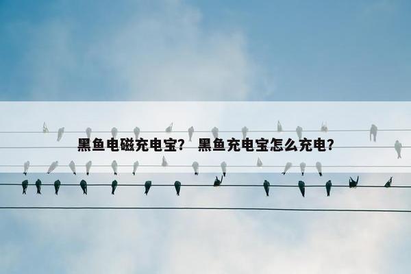 黑鱼电磁充电宝？ 黑鱼充电宝怎么充电？