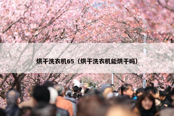烘干洗衣机65(烘干洗衣机能烘干吗) 烘干洗衣机65(烘干洗衣机能烘干吗)