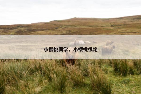 小樱桃同学，小樱桃很绝