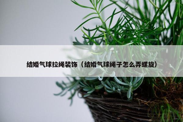 结婚气球拉绳装饰(结婚气球绳子怎么弄螺旋) 结婚气球拉绳装饰(结婚气球绳子怎么弄螺旋)