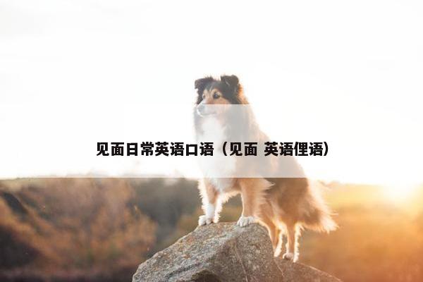 见面日常英语口语（见面 英语俚语）