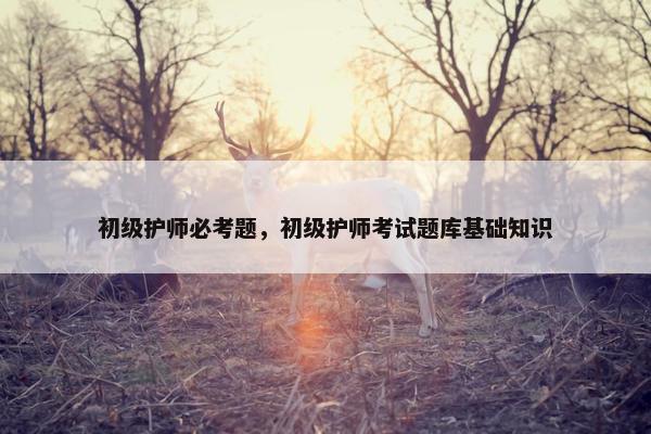 初级护师必考题，初级护师考试题库基础知识