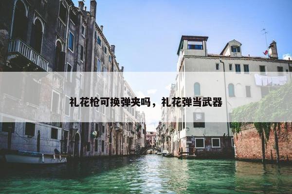 礼花枪可换弹夹吗，礼花弹当武器