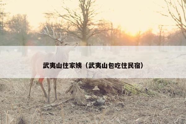 武夷山住家姨（武夷山包吃住民宿）