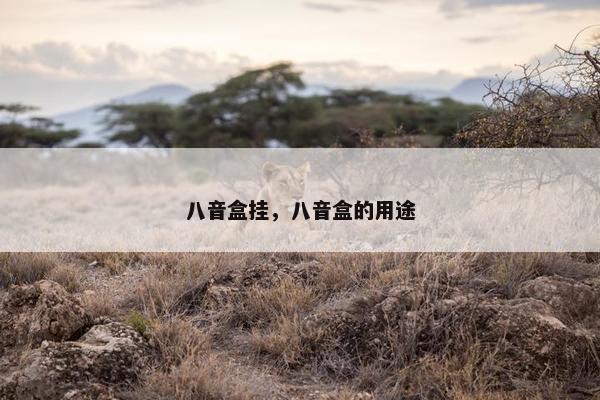 八音盒挂，八音盒的用途