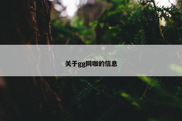 关于gg网咖的信息